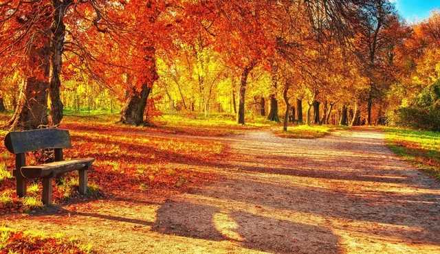 В октябре в Украине будет бабье лето и заморозки, – народный синоптик
