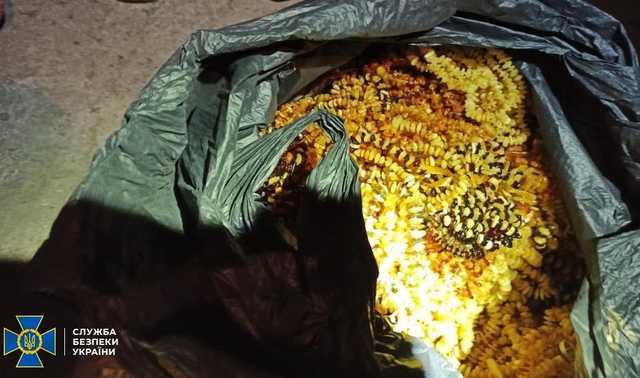 СБУ вилучила майже тонну бурштину, який везли в Азію