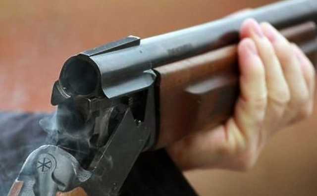 В Одесской области мужчина из ружья расстрелял полдесятка собак: живодером может быть депутат