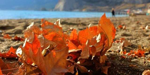 Синоптики рассказали о погоде в первые выходные октября