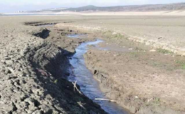 Эколог предрек превращение Крыма в пустыню и назвал сроки