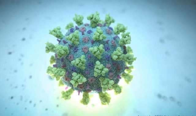 Эпидемиолог спрогнозировал +12 тысяч больных COVID-19 в сутки в Украине