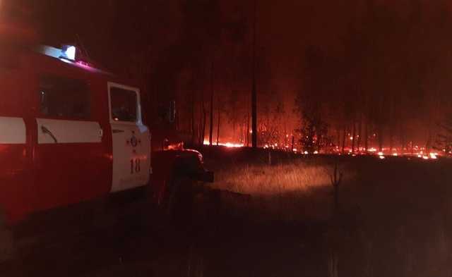 Пожежі на Луганщині забрали життя 11 людей, травми і опіки отримали 18 чоловік