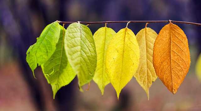 В Украину в ноябре вернется "жара": синоптик дал неожиданный прогноз погоды