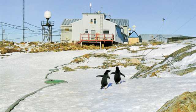 Украинским полярникам впервые за 20 лет подняли зарплату: сколько получают