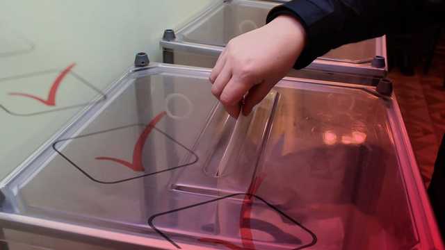 Во Львове на должность мэра лидирует Садовый: результаты экзит-пола