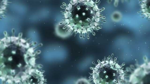 Италия второй день подряд бьет рекорды заболеваемости Covid-19