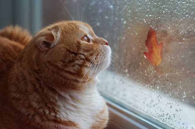 В ноябре украинцев ожидает всего 9 выходных дней