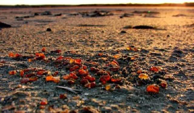 Фирма, неспособная заплатить за аренду кафе в Гидропарке, отхватила янтарные прииски на Житомирщине