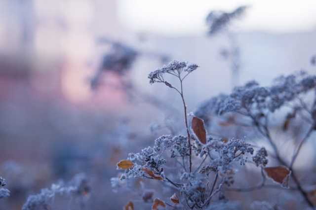 В Украину идут снег и морозы: синоптики предупредили о похолодании