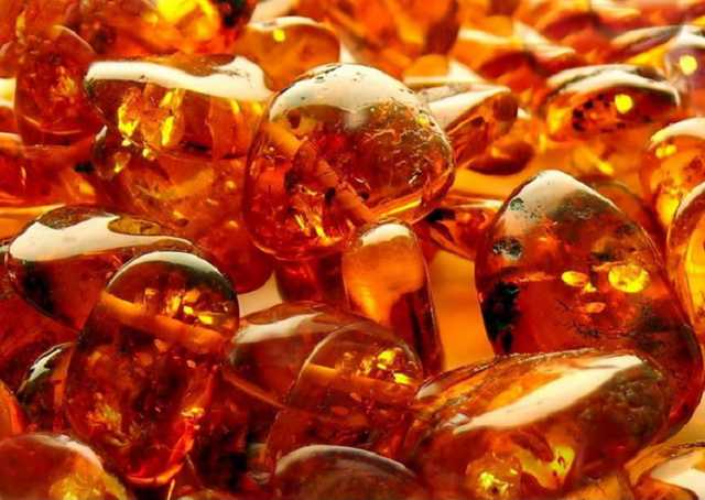 СБУ блокировала контрабанду редкого вида янтаря в арабскую страну