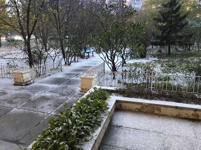 В Киеве выпал первый снег, город сковали заторы