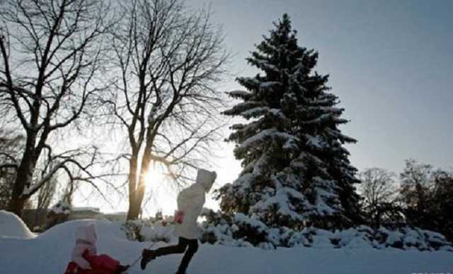 В Виннице решили отказаться от главной елки: названа причина