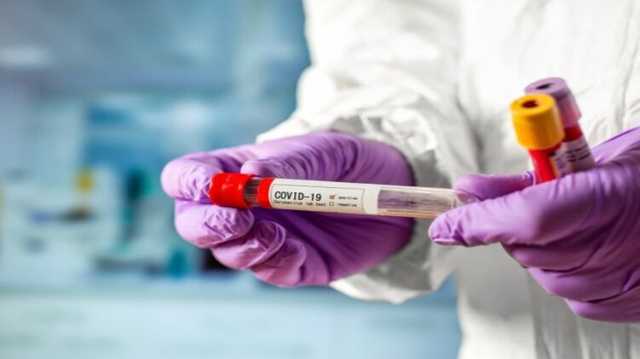 Канцлер Австрии Курц прогнозирует выход страны из коронавирусного кризиса к лету