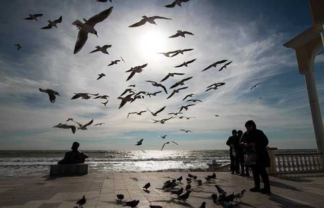 В оккупированном Крыму за сутки обнаружили около 230 новых случаев коронавируса