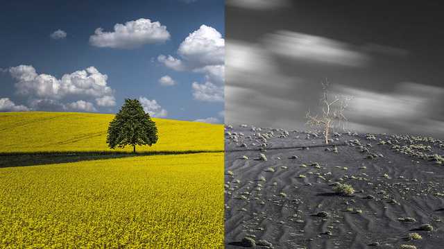 Американцы боятся за своих детей из-за изменений климата