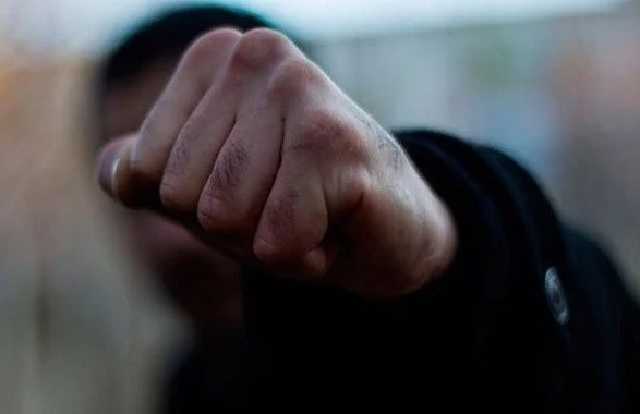 В Днепре водитель и пассажир иномарки избили двух мужчин из-за собаки