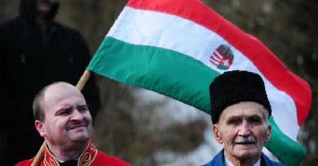 Сепаратизм на Закарпатье: пробежка «орлов Баканова» по венгерским граблям