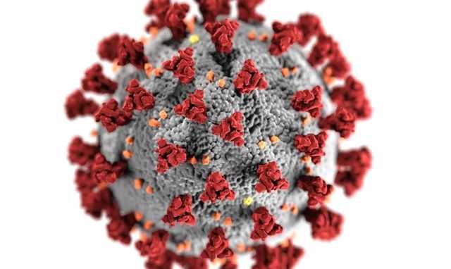 Эпидемиолог назвал условие победы над пандемией COVID-19