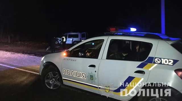 Под Одессой автомобиль сбил лошадь: водитель и животное погибли