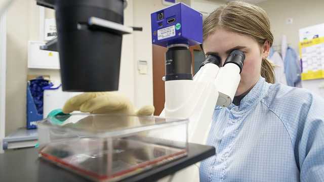 В ВОЗ придумали заражать COVID-19 людей, чтобы ускорить разработку вакцины