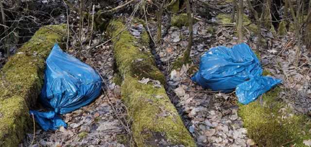 В Раде поддержали штрафы за пластиковые пакеты: кого будут наказывать и на сколько