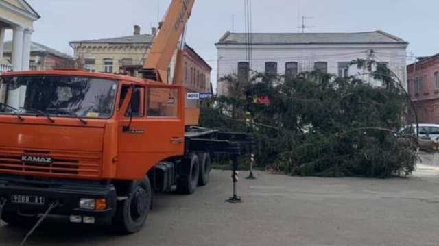 Мэр Дубно отказался заменять главную городскую елку, которую срубили на кладбище