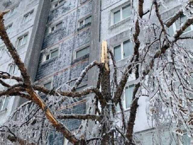 В столице прошел ледяной дождь: киевляне встали на коньки