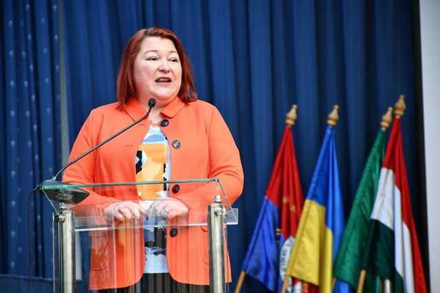 Євродепутат з Берегово потрапила до бази «Миротворця»