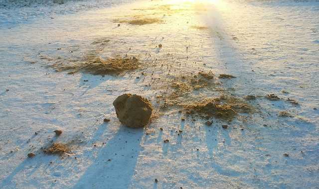 В Киеве коммунальщик выгребал песок из детской площадки, чтобы посыпать им тротуар