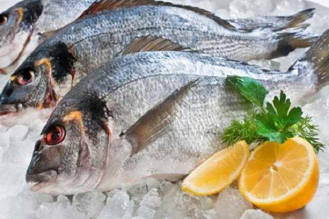 Експорт української риби та ракоподібних збільшився на 23%