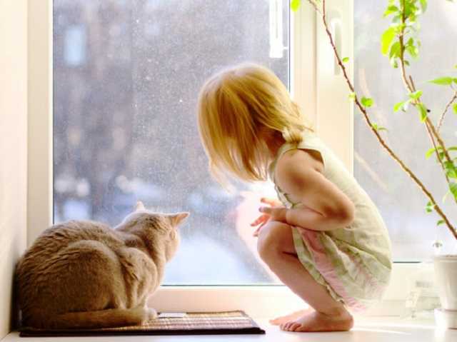 В Одессе первоклассница "заминировала" школу, чтобы поиграть дома с котиком