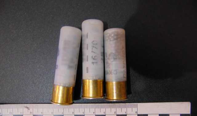 В Черновицкой области застрелили мужчину, рубившего елку в лесу