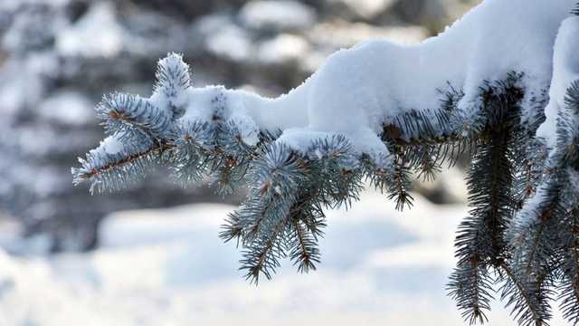 Снег в шести областях и ночные заморозки: прогноз погоды на сегодня