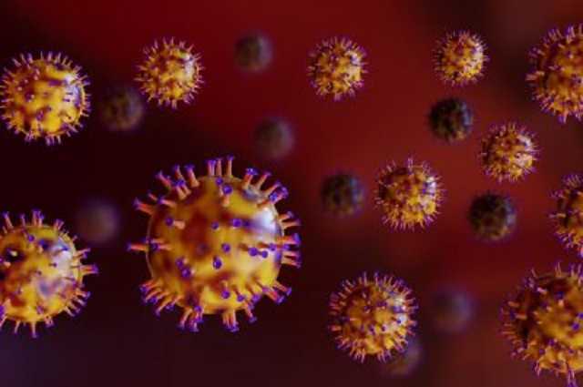 «Прекратите нервничать!» Фаворов рассказал о «британском вирусе»