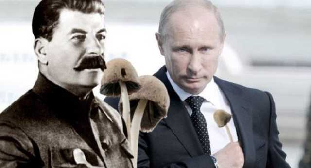 “Лаборатория ядов”. Зловещая история кремлевских отравителей