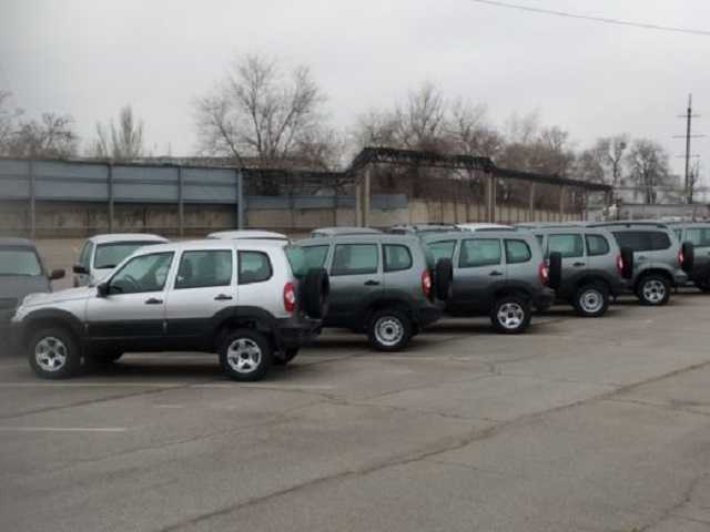 ЗАЗ наращивает производство: какие модели готовы к продаже