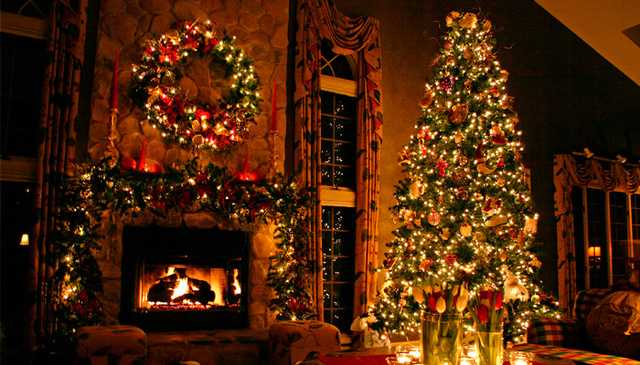 В Киеве с 1 января елки можно будет сдать на утилизацию