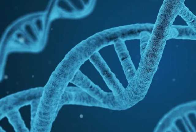 Ученые сделали неожиданное заявление о длительности иммунитета к COVID-19