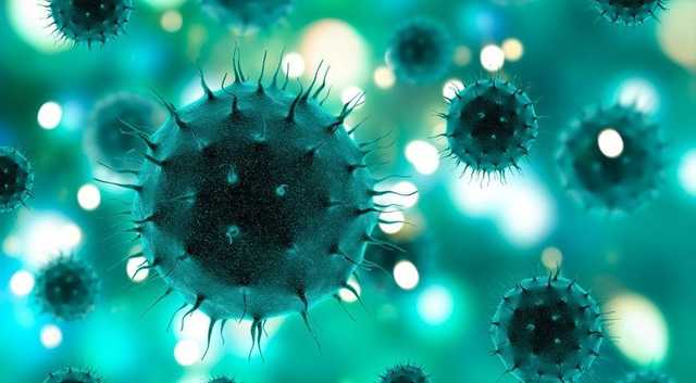 Новий штам коронавірусу може стати основним у Європі, – ВООЗ