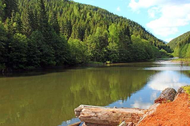 Зеленский сменил пределы национального природного парка "Верховинский"