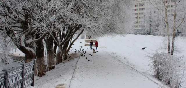 Украинцев предупредили о морозе до -18 и гололедице в субботу