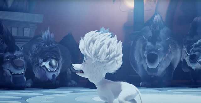 Цирковой пудель Вова и писец