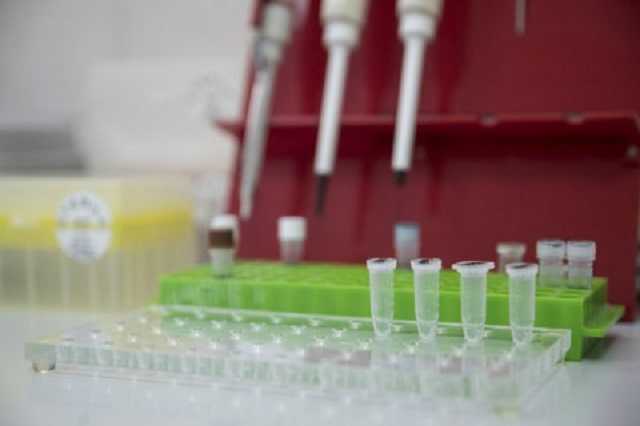 Новый африканский штамм COVID-19 на 50% заразнее, - исследование