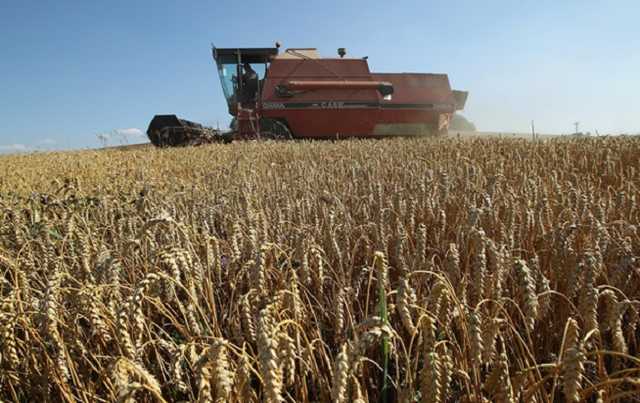 Китай стал главным импортером украинского зерна