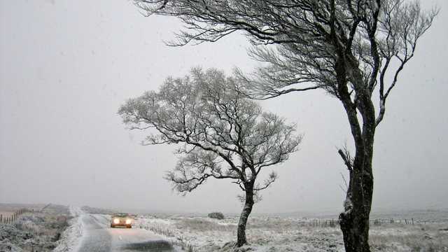 Украину накроет непогода: где ожидается штормовой ветер и метели