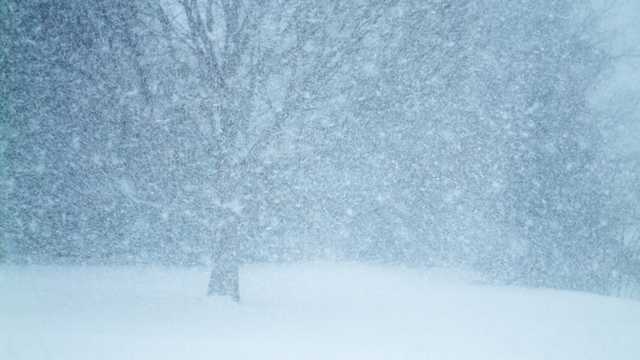 В Украине из-за мощных снегопадов начали перекрывать трассы: где не проехать