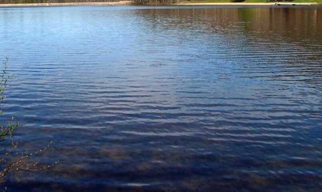 Под Днепром в реке обнаружили тело мужчины, которого искали с прошлого года