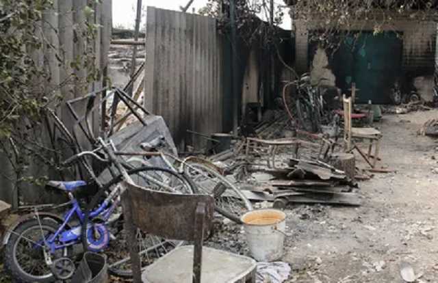 Тараканы, крысы, вши – лучшие друзья русского мира