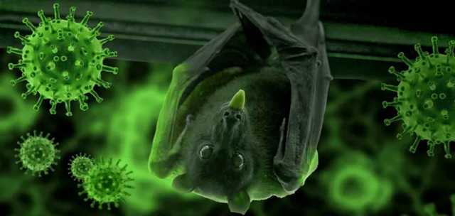 Ученые назвали возможную причину появления возбудителя COVID-19